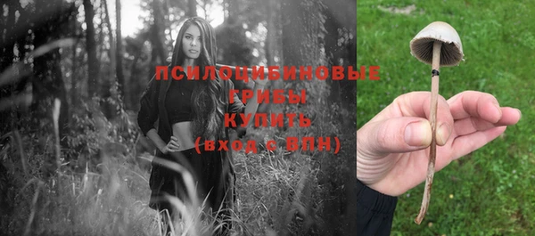 винт Белокуриха